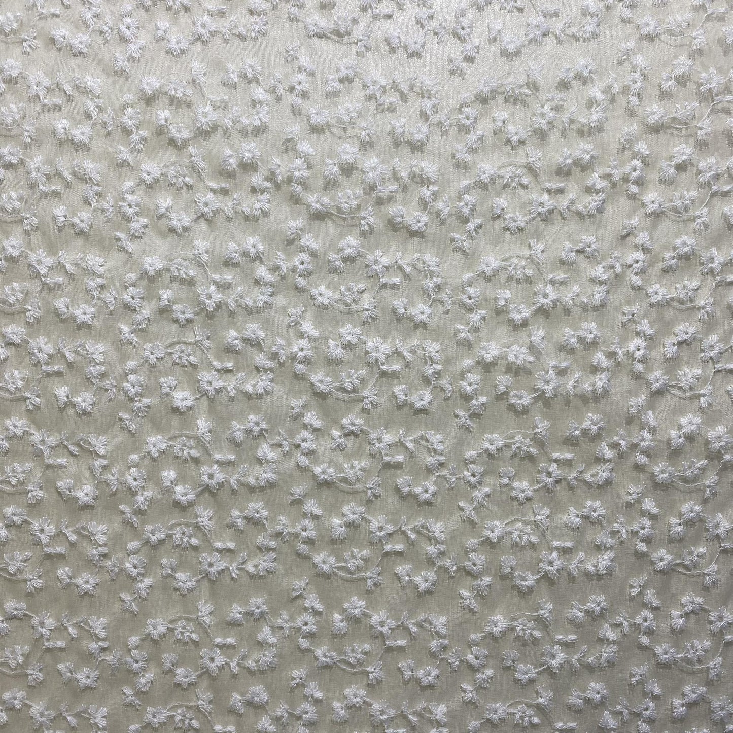 Organza brodé Blanc - 23910001
